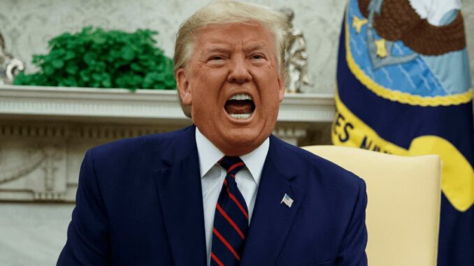 Former POTUS Donald Trump Says Crypto is Dangerous But Praises Former POTUS Donald Trump Says Crypto is Dangerous But Praises Melania's NFT Project