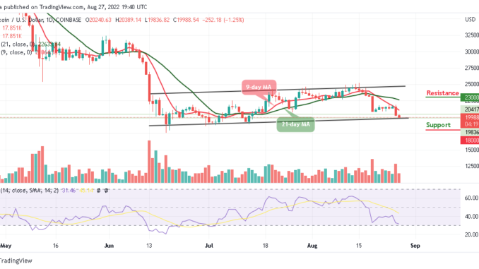BTC Slumps Below $20,000; TAMA Pushes Up BTC Slumps Below $20,000; TAMA Pushes Up