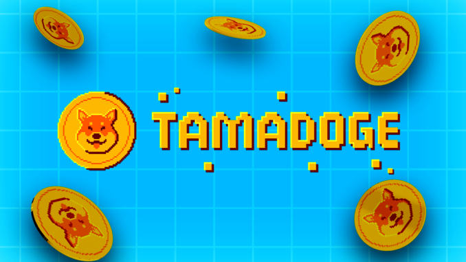 Tamadoge Skyrockets 80% Ahead of Exchanges Listing and App Release Tamadoge Skyrockets 80% Ahead of Exchanges Listing and App Release