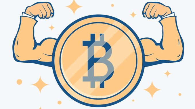 Bitcoin Hashrate Reaches All-Time High of 491 EH/s, Close to Bitcoin Hashrate Reaches All-Time High of 491 EH/s, Close to Half a Zettahash, as Network Preps for Next Difficulty Change