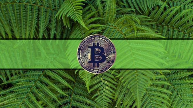Bitcoin Showing "Promising Rise Potential" After Fed Rate Decision: Santiment Bitcoin Showing "Promising Rise Potential" After Fed Rate Decision: Santiment