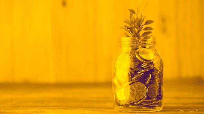 Diversification Doesn't Work? NFT Influencers That Made or Lost Money Diversification Doesn't Work? NFT Influencers That Made or Lost Money With Memecoins