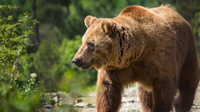 No, Bitcoin has never seen a bear market before: Be No, Bitcoin has never seen a bear market before: Be careful