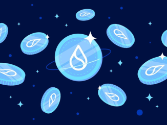 Sui Token and Network Launch: What You Need to Know