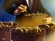 ‘Bitcoin-only’ buy-and-hold investing outperforms altcoins over long term, analysis shows
