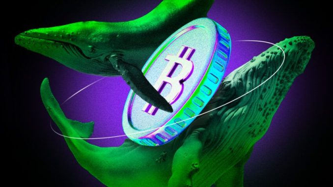 Bitcoin One Year Holding Hits All-Time High Strengthening Holder Base: Bitcoin HODLing for One Year Reaches All-Time High
