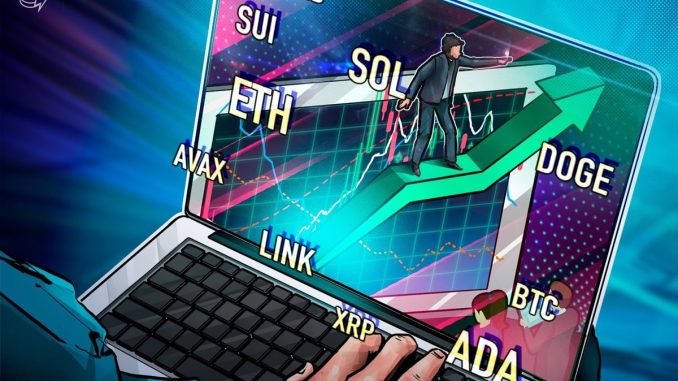 BTC, ETH, XRP, BNB, SOL, DOGE, ADA, SUI, LINK, AVAX