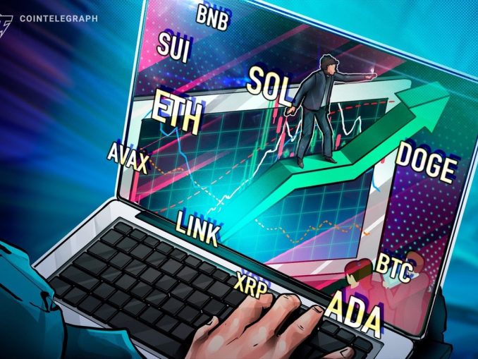BTC, ETH, XRP, BNB, SOL, DOGE, ADA, SUI, LINK, AVAX