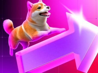 Dogecoin Hits Indy 500 Track With $26,000 Charity for Children Hospital