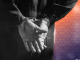 Police Nab Alleged Mastermind Behind French Crypto Kidnappings: Report