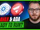 Altcoin Shakeout or Setup? AVAX & ADA May Tell the Story