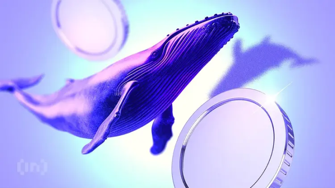 Are Ethereum Whales Betting On a Major Rally For ETH Price?