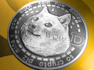 Dogecoin Firm House of Doge Acquires Controlling Share in Italian Soccer Club