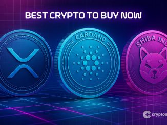 Best Crypto to Buy Now: XRP, Cardano, Shiba Inu