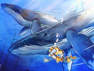 BTC Market Evolves As 'New Whales' Take 50% Dominance