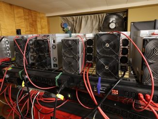 FILLER VIDEO DONT WATCH