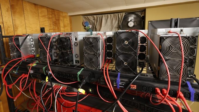 FILLER VIDEO DONT WATCH