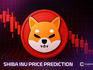 Shiba Inu Price Prediction: Fear Grips Traders As SHIB Posts 66% Price Decrease YoY