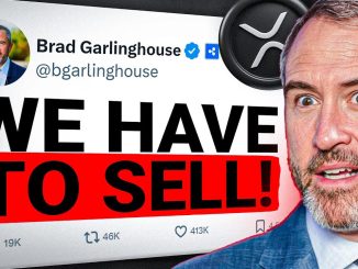 🚨XRP 50% CRASH INCOMING!?🚨 (Worst-Case Altcoin Scenario Explained)