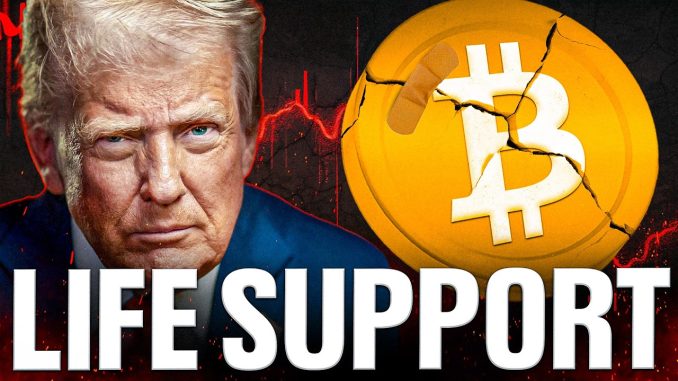 Can Bitcoin Survive Trump (I'm Worried)