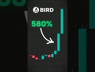 Allbirds AI Pivot is INSANE 😳